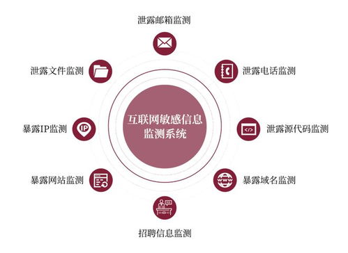 金融信息科技外包導致敏感信息泄露風險上升 看raysin來支招