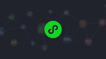 合肥野火信息科技 小程序如何整合線上線下資源