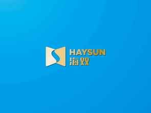 海智品牌VI設(shè)計(jì) 海雙信息科技的企業(yè)形象與文化傳達(dá)